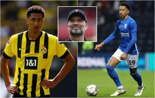 德转本赛季全球主场场均上座TOP25：多特拜仁前二，英博第19（德转公布本季全球主场场均观众TOP25：多特、拜仁包揽前二，英博第19）