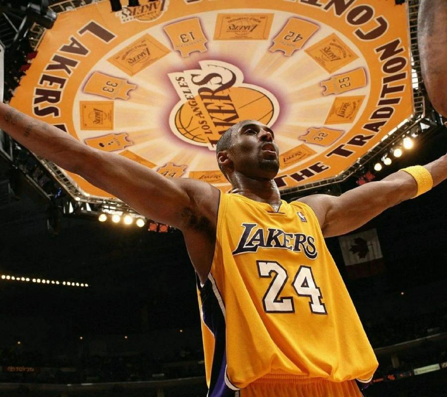 湖人浓眉哥篮下统治力助球队获胜（浓眉禁区称王，助湖人拿下胜利）